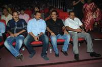 Celebrites at Yevadu Audio Launch
